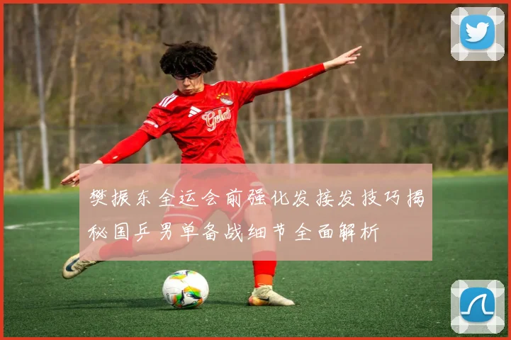 樊振东全运会前强化发接发技巧揭秘国乒男单备战细节全面解析